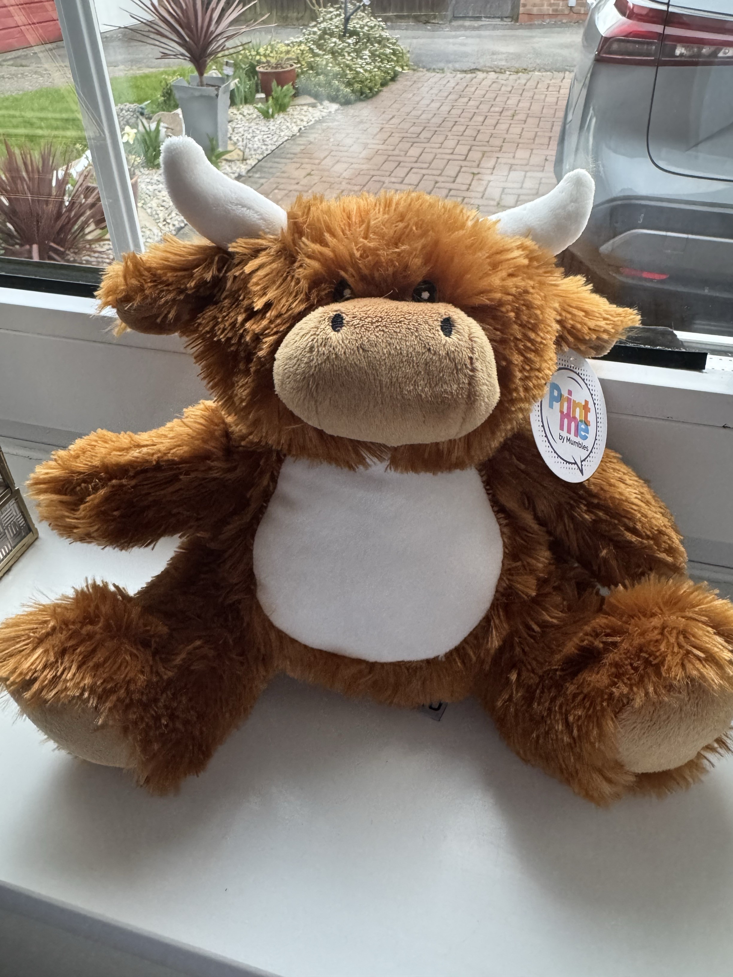 Highland Cow Teddy - ready to be personalised and to find a home